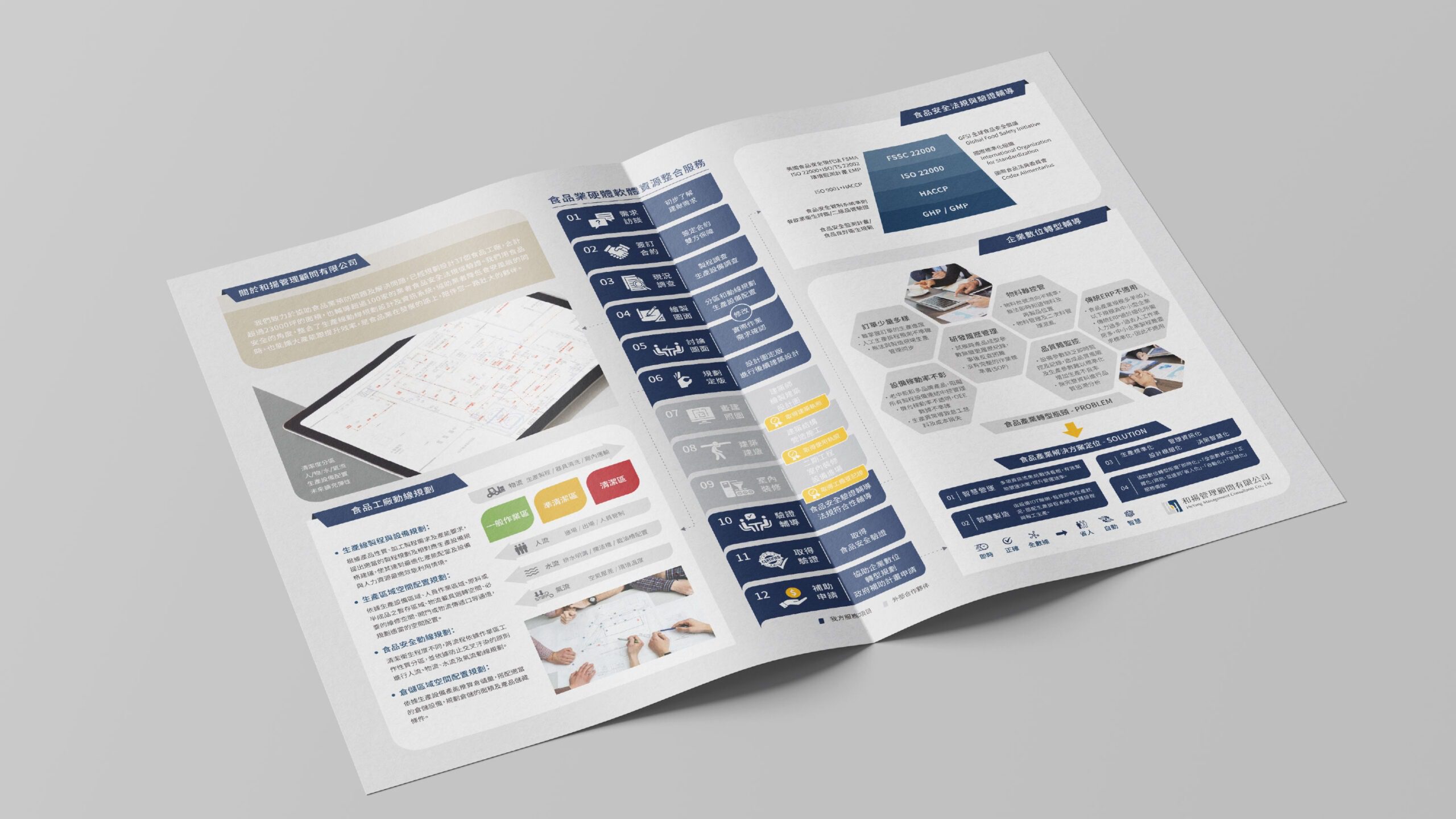 HeYang DM 內頁資訊圖表，顧問服務流程與架構圖示