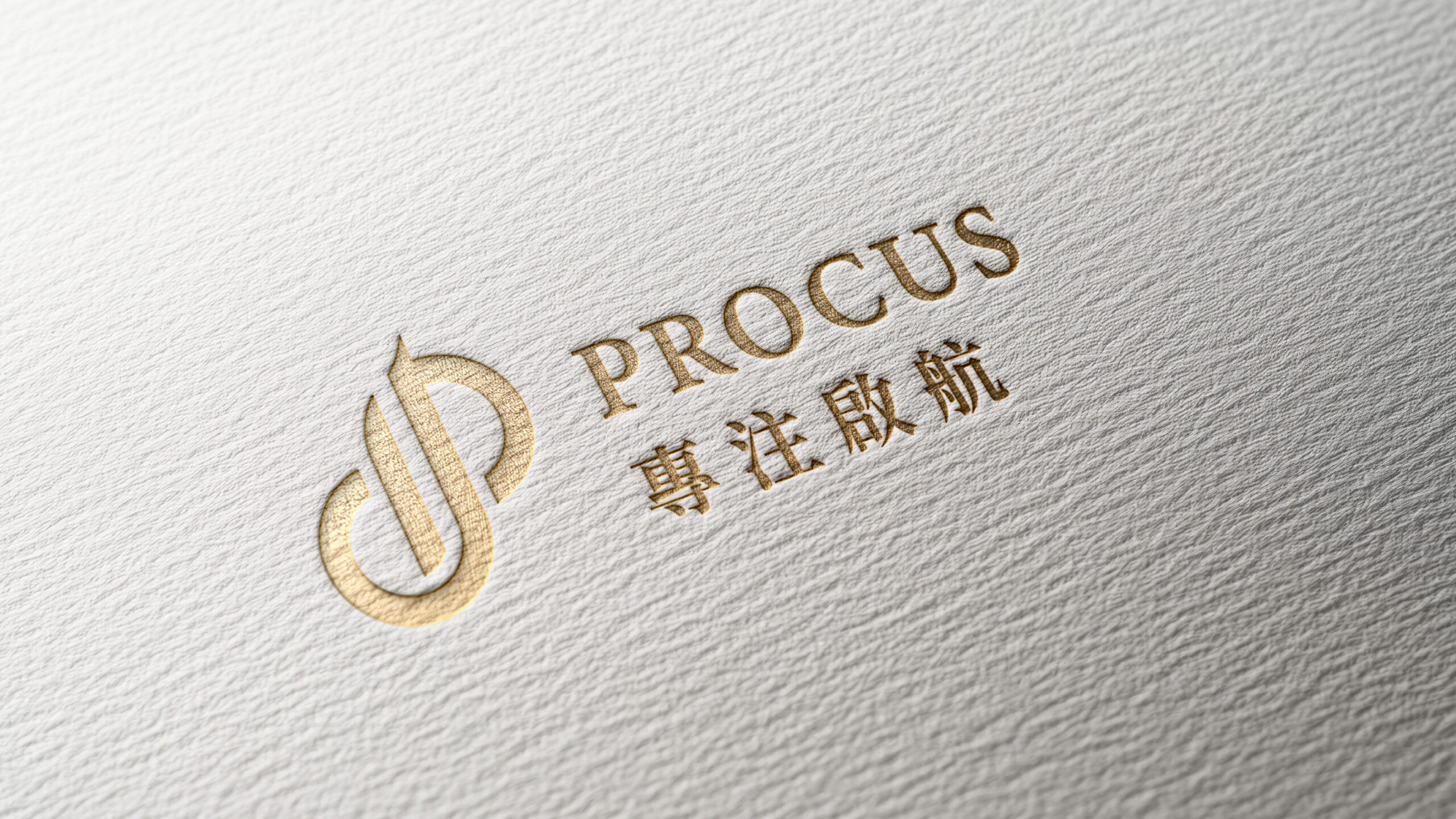專注啟航顧問 Procus 品牌標誌圖形與 Procus Strategy Partners 標準字組合